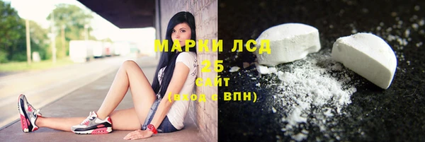 индика Инсар