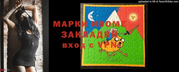 индика Инсар
