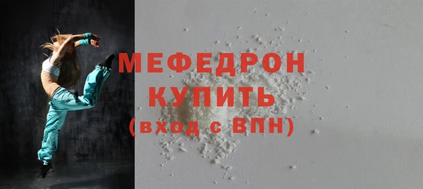 индика Инсар