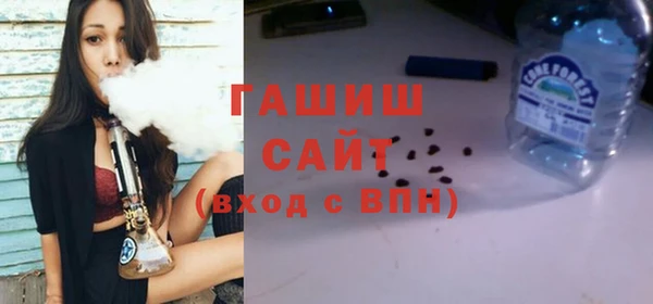 индика Инсар