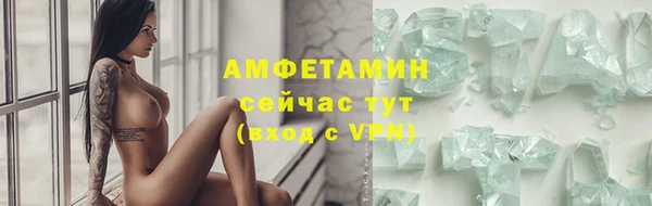 индика Инсар