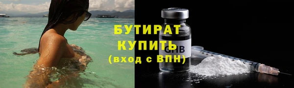 индика Инсар
