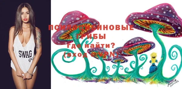 бошки Иннополис