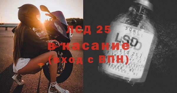 индика Инсар