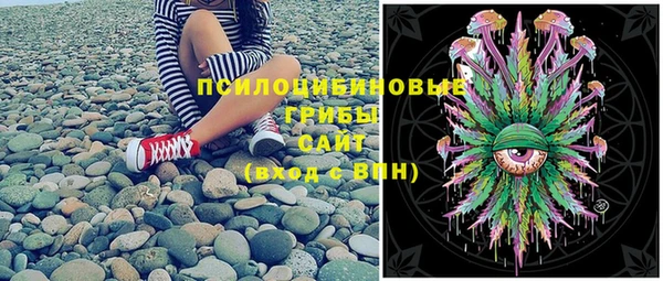 индика Инсар