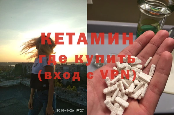 индика Инсар