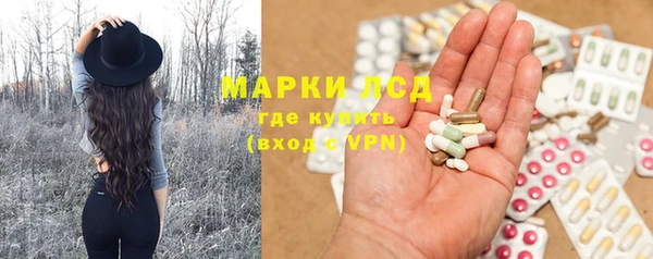 a pvp Инта