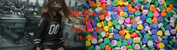 индика Инсар