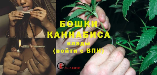 индика Инсар