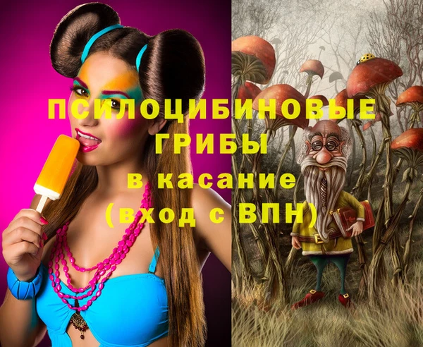 бошки Иннополис