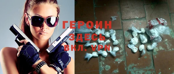 индика Инсар