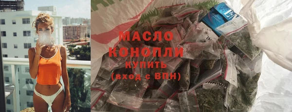 индика Инсар